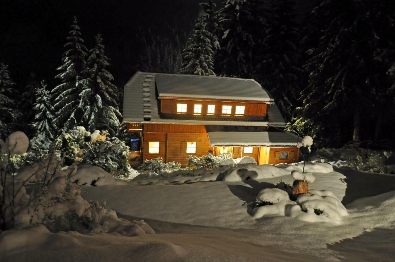Chalet Styria ドナースバッハヴァルト エクステリア 写真