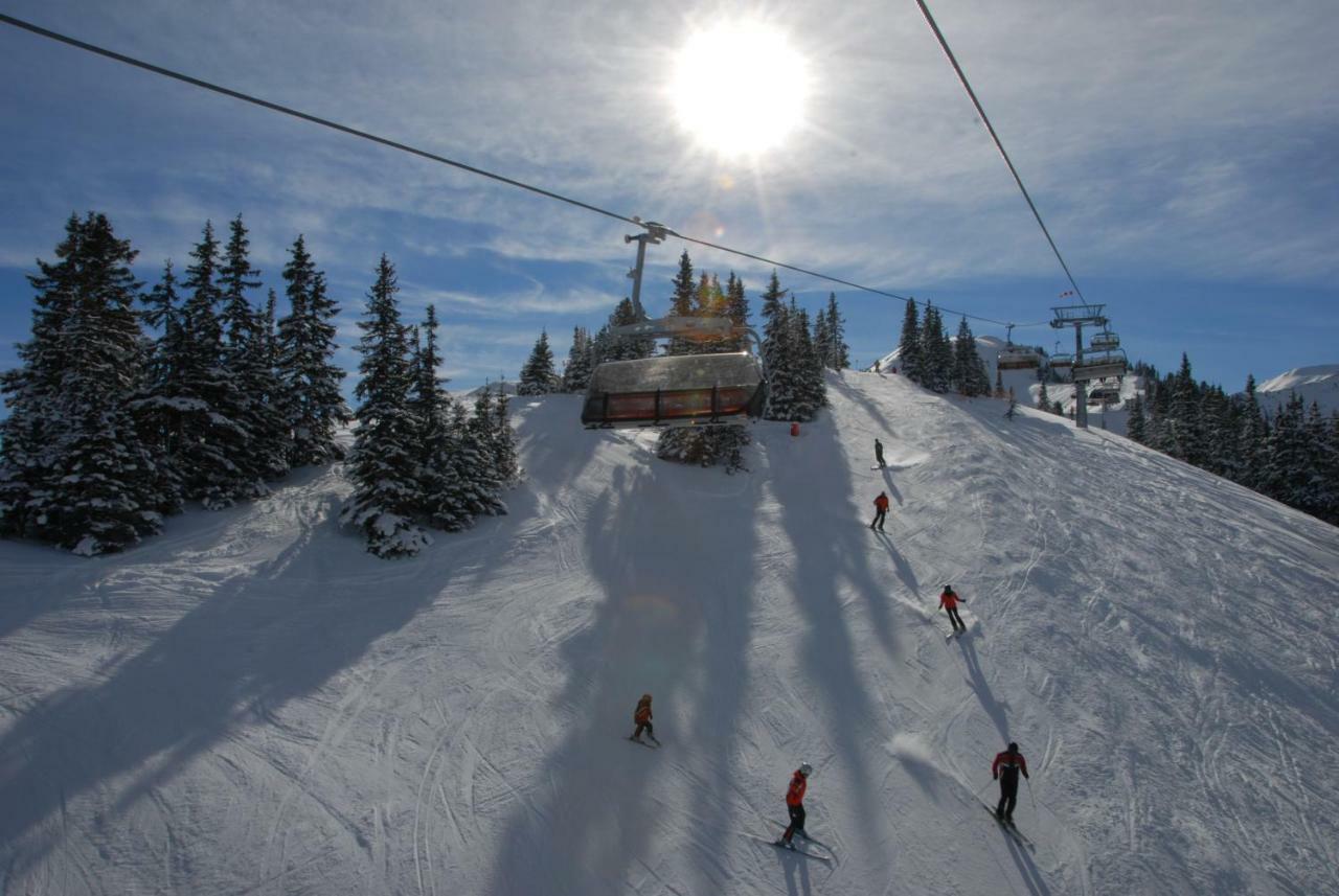 Chalet Styria ドナースバッハヴァルト エクステリア 写真