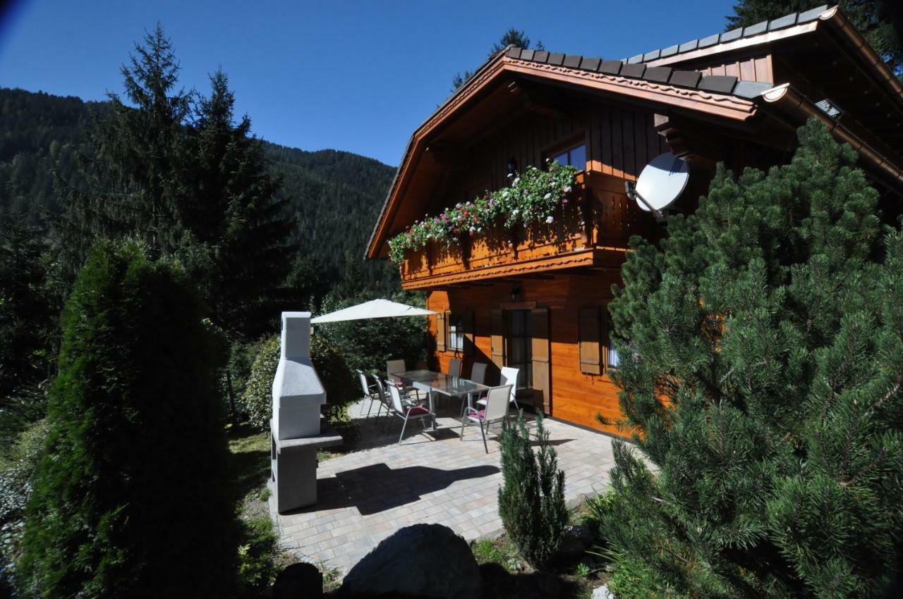 Chalet Styria ドナースバッハヴァルト エクステリア 写真