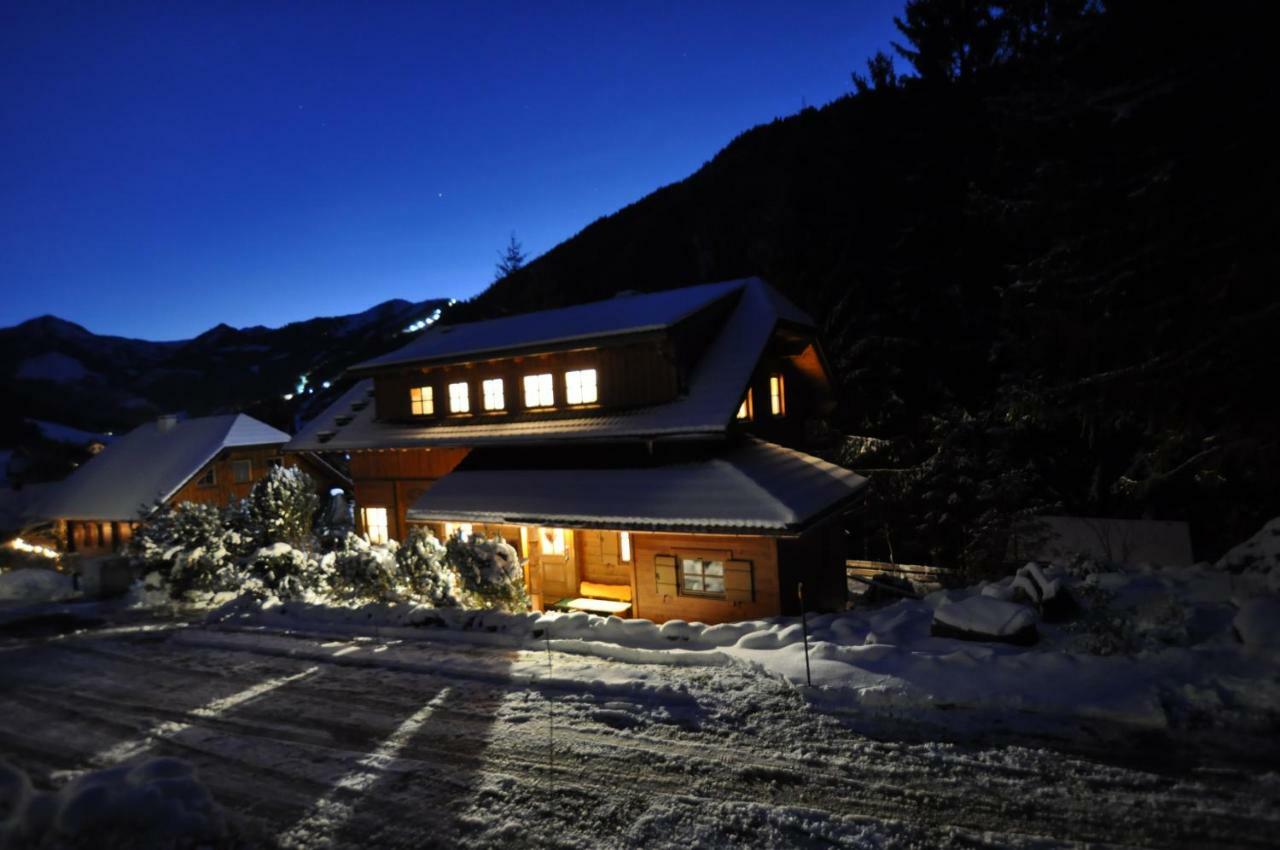 Chalet Styria ドナースバッハヴァルト エクステリア 写真
